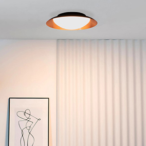 Ceiling light Faro Indoor Ceiling light Faro Indoor